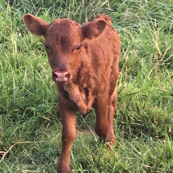 Meet your Posher - Picture 7 of 8